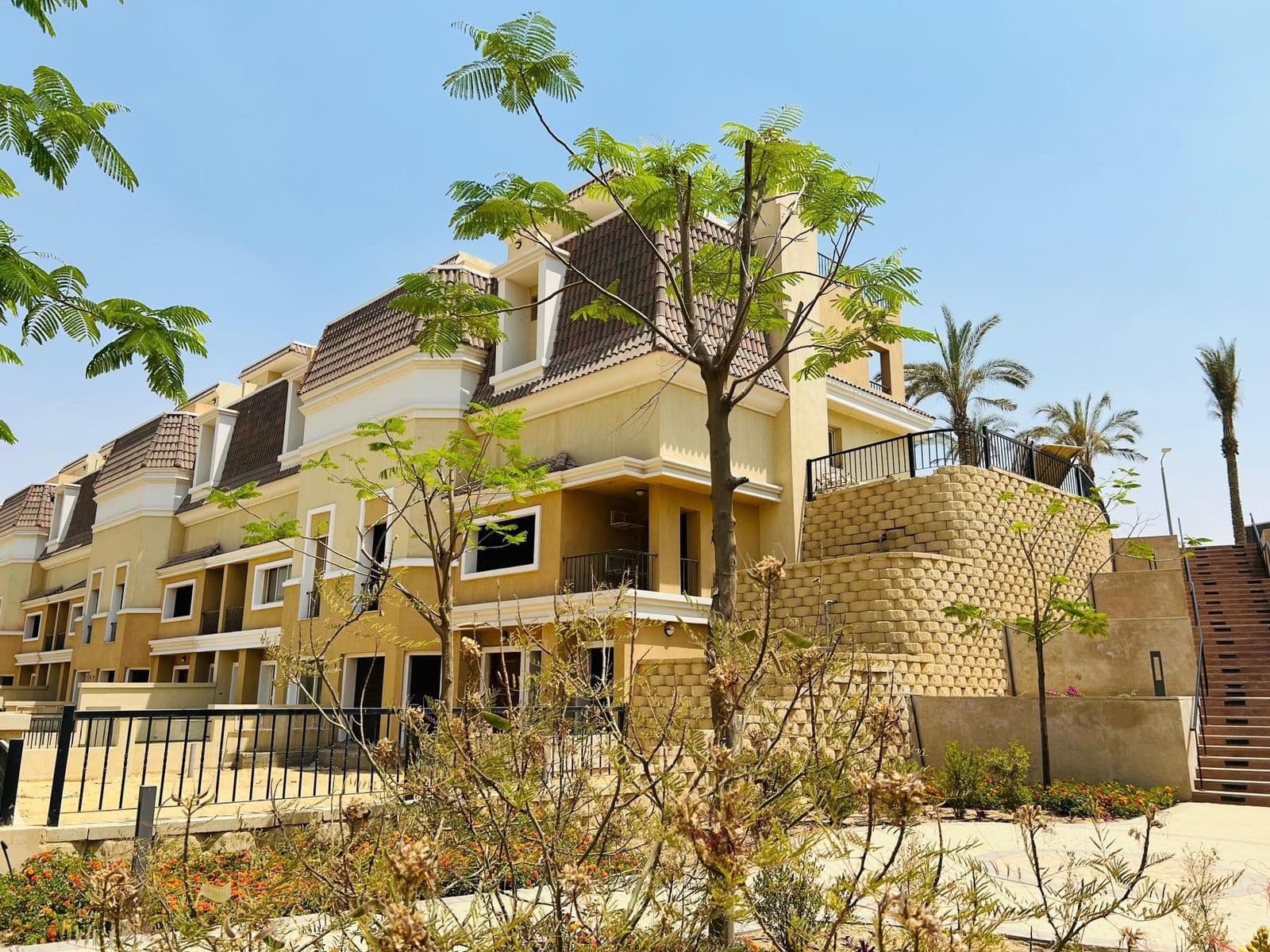 Elm Tree - Sarai